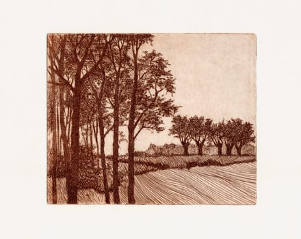 Etching Graphic Drawing Passepartout