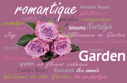 Roses Garden Romance Day Cloud