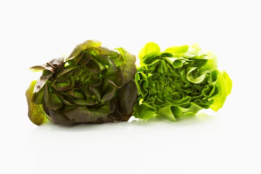 Lettuce