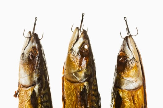Smoked Mackerels,Studio