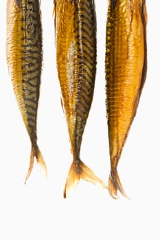 smoked mackerel