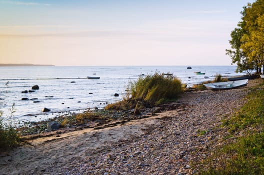 Coast of the Baltic Sea at sunset