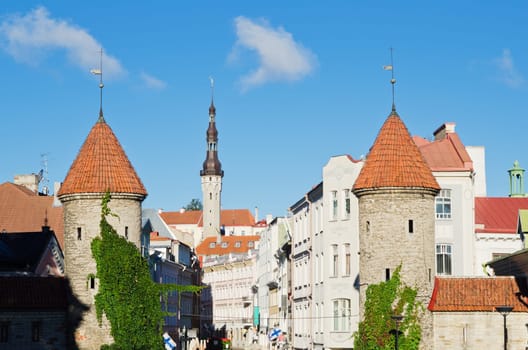 Summer Street Viru in Tallinn
