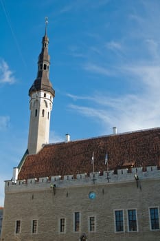 The Tallinn Town hall a sunny day