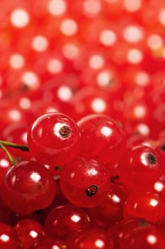 Redcurrant berries, close-up