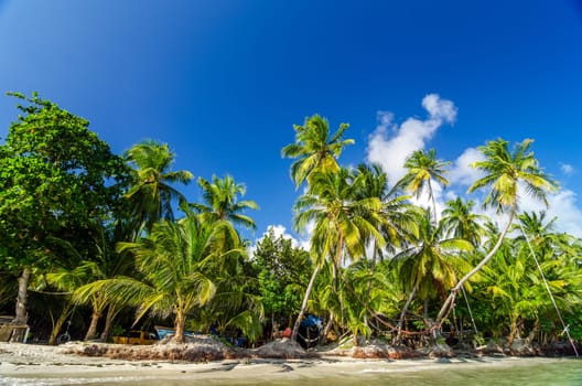 Palms trees on Caribbean coastline with a secluded restaurant behind them in San Andres y Providencia, Colombia