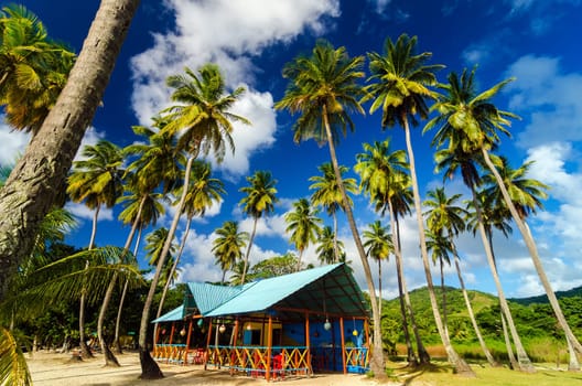 A colorful restaurant on a beach surrounded by palm trees on a Caribbean island