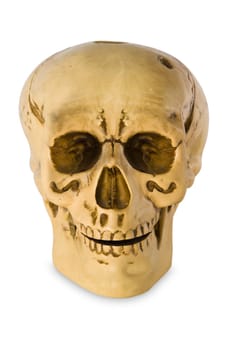 Human skull with clipping path on white background