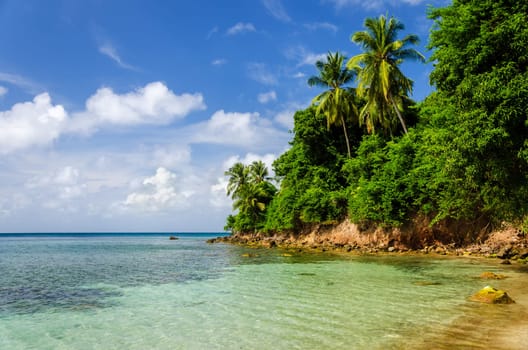 Beautiful green coastline and clear Caribbean water in San Andres y Providencia, Colombia