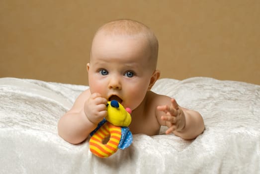Baby chews on toy