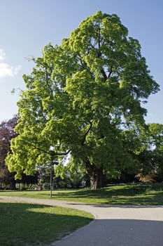 Schötmar Castle Park