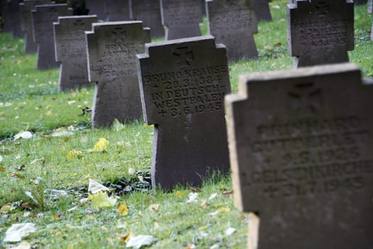 Soldiers' graves at the cemetery in Bad Pyrmont