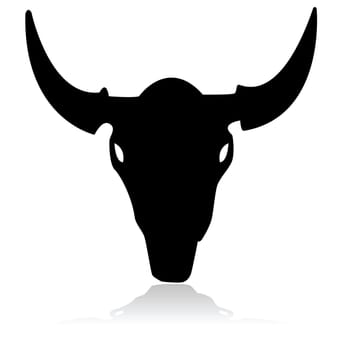 Outline illustration showing the skull of a bull