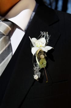Bridegroom