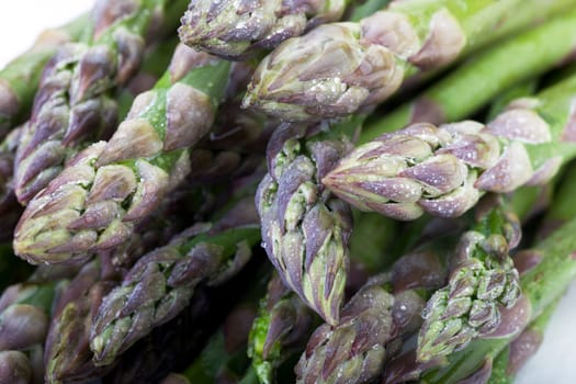 Closeup of asparagus tips covered in water drops.