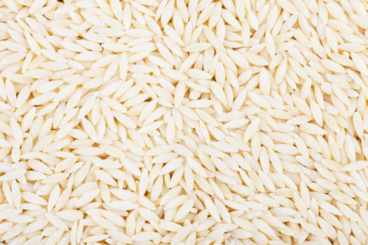 Fresh orzo pasta close-up for background or food texture.