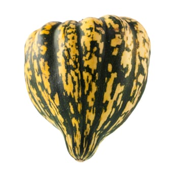 Green and yellow winter squash isolated on white background