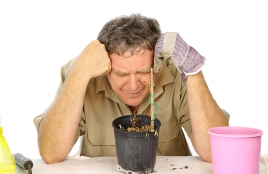 Bitterly disappointed gardener laments over his dead seedlings.