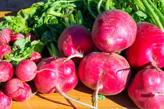 radish vegetables stacked in a row on market display