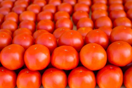 tomatoes vegetables stacked in a row on market display