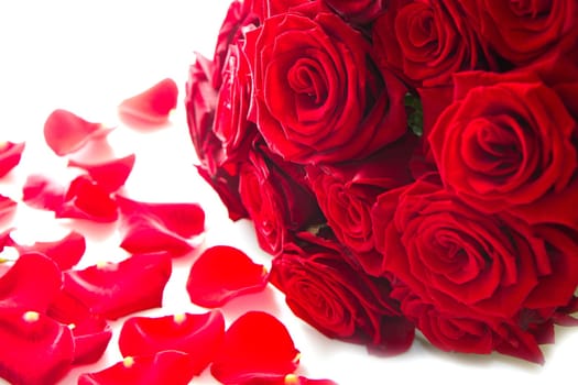 Background of red rose petals