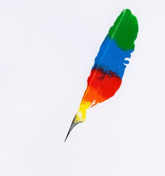 Feather Colors Fancy Concept