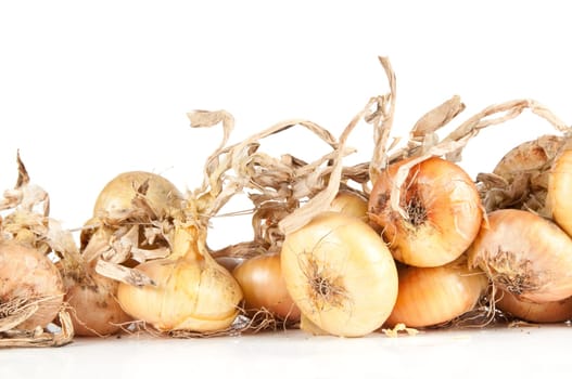 Lot of onions isolated on white background