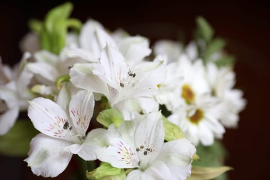 Details of a bouquet of flowers made with alstroemeria
