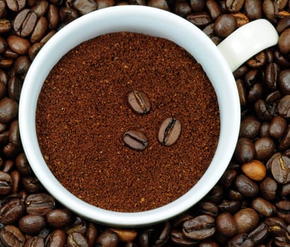 Coffee