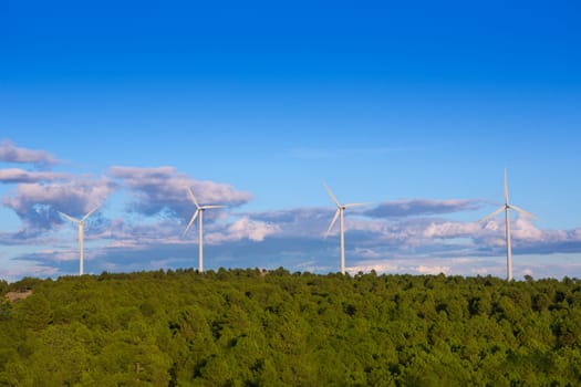Aerogenerator windmills for green electric energy in pine mountain and blue sky