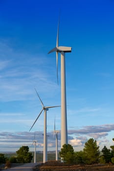 Aerogenerator windmills for green electric energy in pine mountain and blue sky