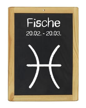 Zodiac Sign Pisces