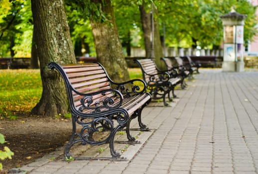 Benches in autumn park, small depth of sharpness