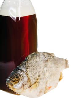 A bottle of domestic beer and dried fish is isolated on white