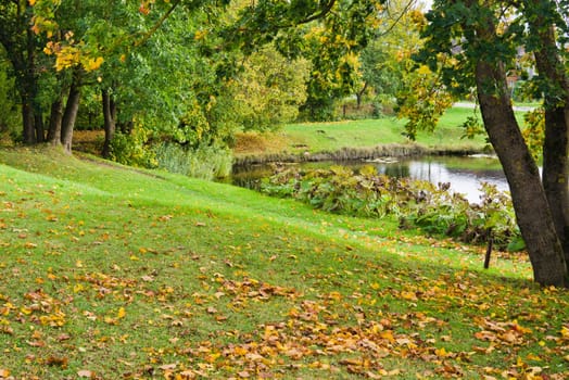 Autumn landscape at a pond