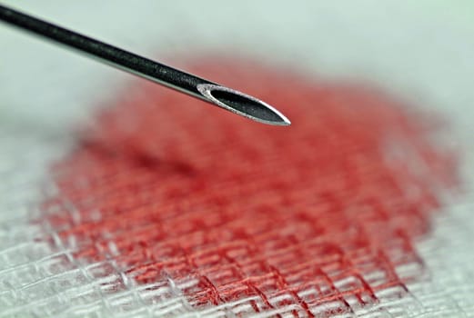 Macro image of a 20G injection cannula