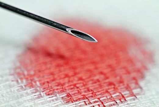 Macro image of a 20G injection cannula