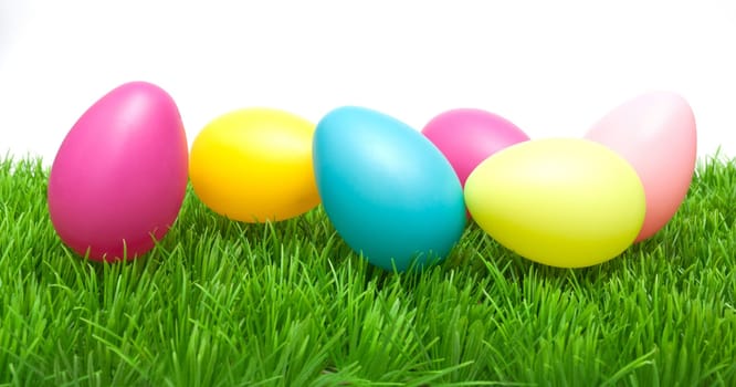 Color Easter Eggs in Grass On White Background