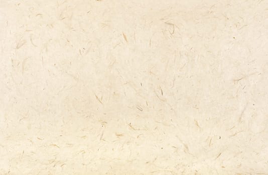 handmade Himalayan paper