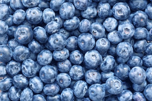 blueberries background