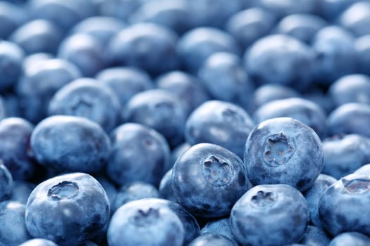 blueberries background