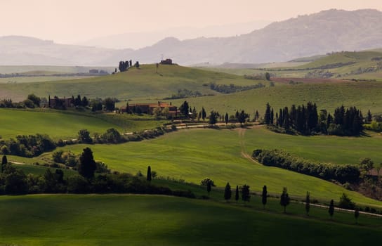 Green tuscany landscape in spring time