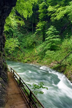 wooden path trough beautiful canyon with river Radovna in Slovenia