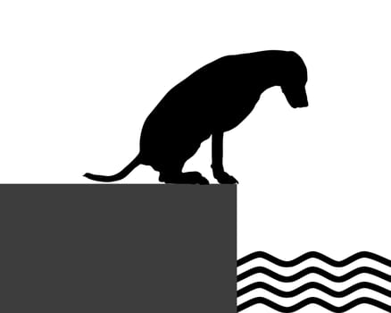 Dog on the shore