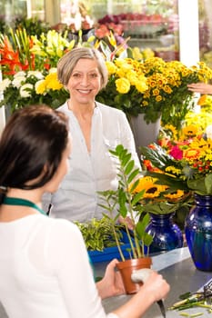 Senior woman buying potted plant paying flower market shop