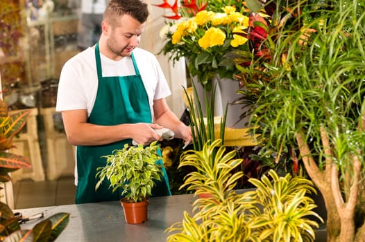 Man florist reading price barcode reader flower shop plant