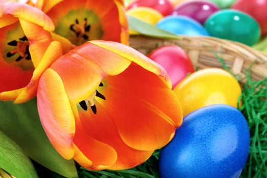 Colourful arrangement of tulips and Easter eggs
