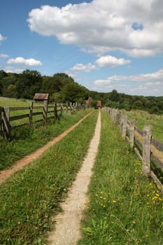 Landscape with dirt road
