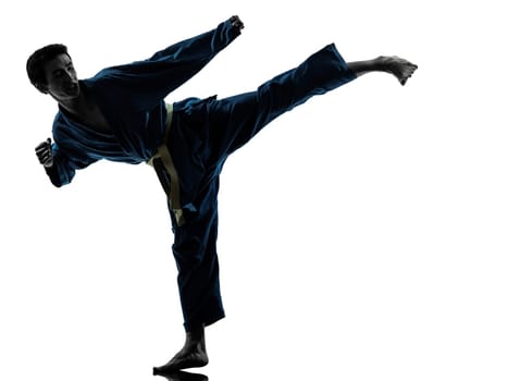 one asian young man exercising martial arts karate vietvodao in silhouette studio isolated on white background