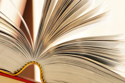 Composition with books on the table